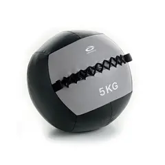 Abilica WallBall, 5kg