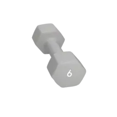 Abilica DumbBell 6 kg