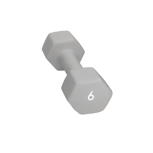 Abilica DumbBell 6 kg 