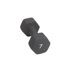 Abilica DumbBell 7 kg