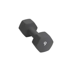 Abilica DumbBell 9 kg