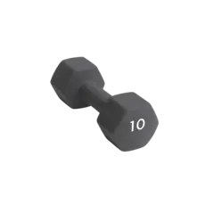 Abilica DumbBell 10 kg