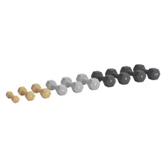 Abilica Hex Neopren DumbBell Styck