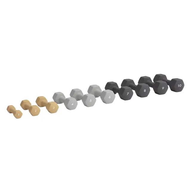 Abilica Hex Neopren DumbBell Styck 